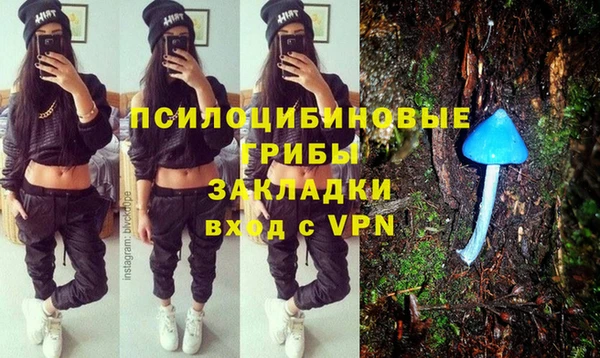 шишки Володарск
