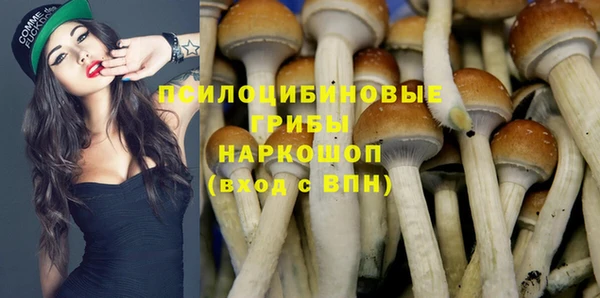 шишки Володарск