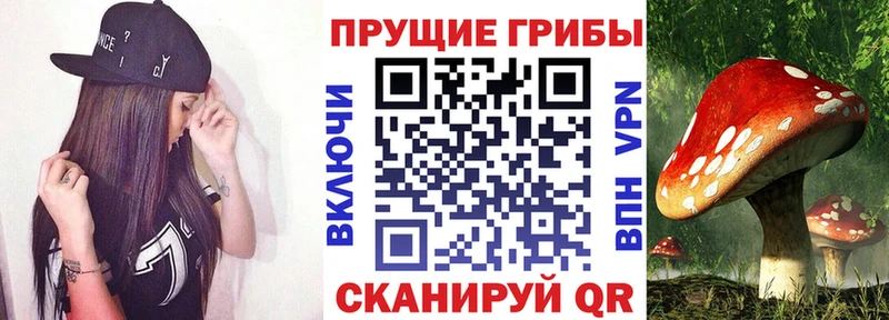 Купить где  Ростов  Псилоцибиновые грибы ЛСД 